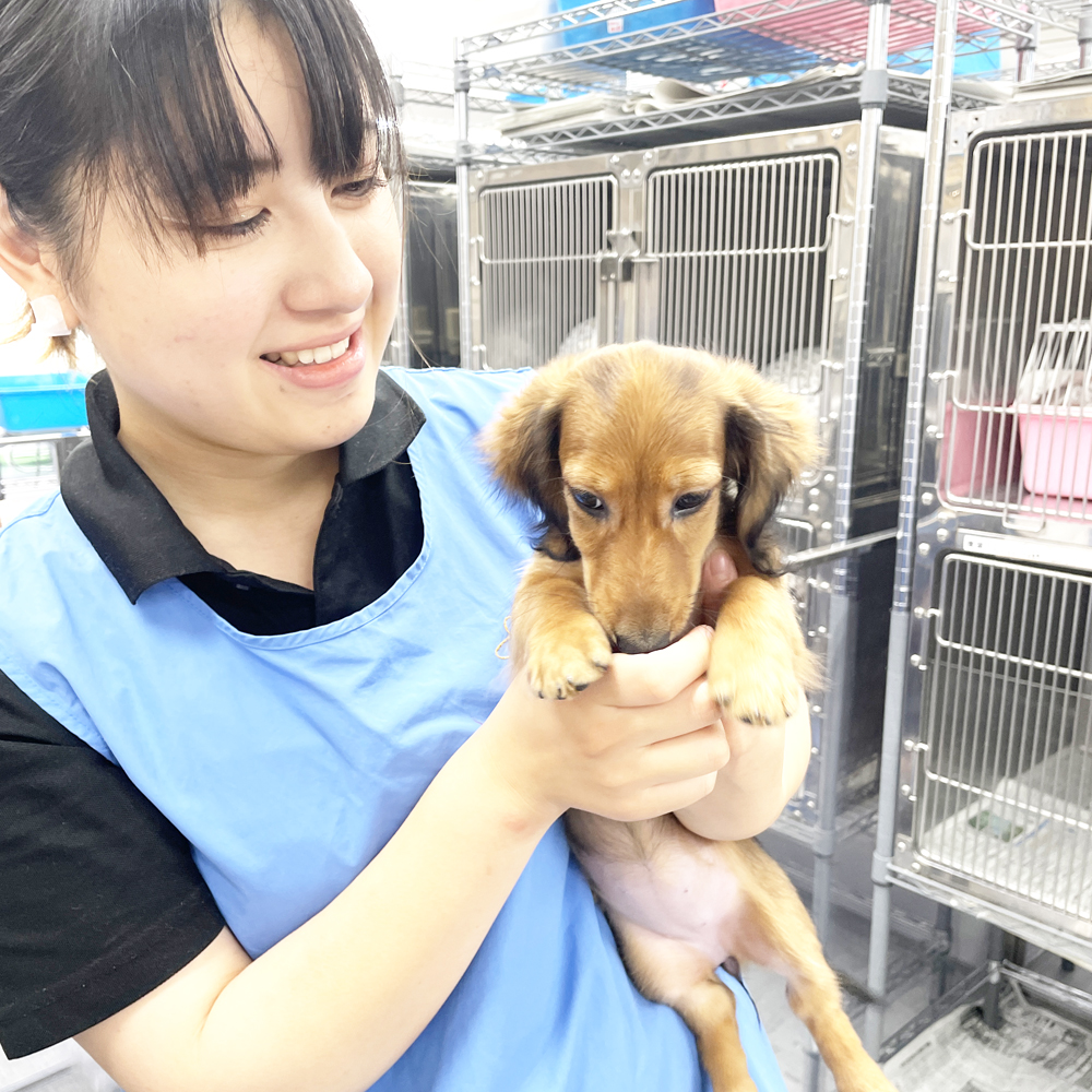 ２年生が子犬のお世話☆